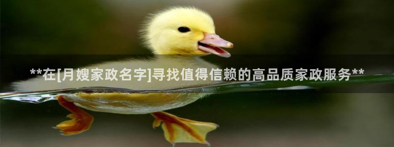 杏悦平台代理怎么做的