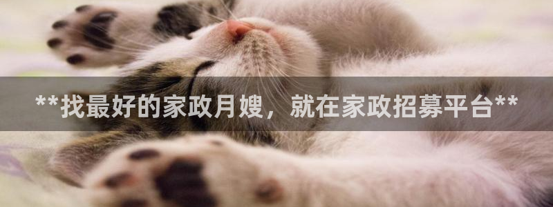 杏悦招商地址