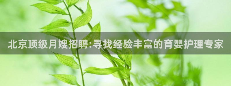 杏悦平台代理怎么赚钱