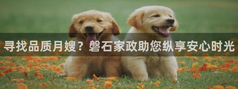 杏悦官方平台