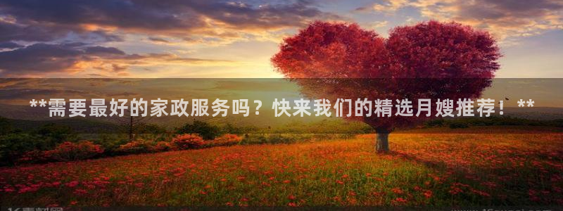 杏悦平台如何注册账号