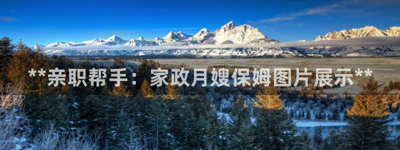 杏悦主管