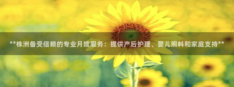 杏悦1招商地址