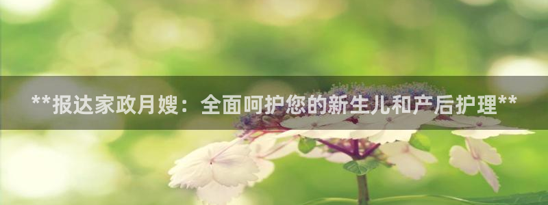 杏悦1招商地址