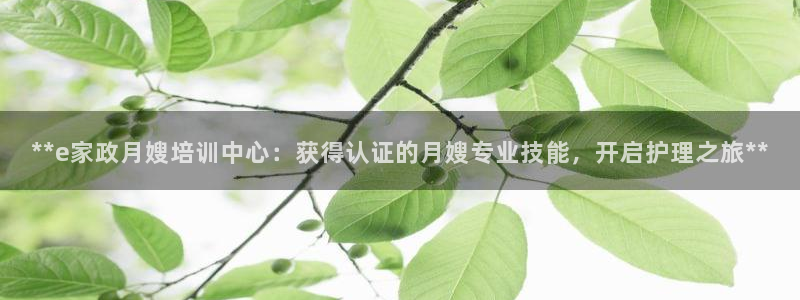 杏悦平台代理注册要钱吗