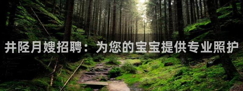 杏悦1招商地址