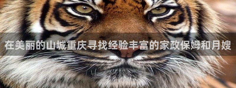 杏悦平台代理怎么做赚钱
