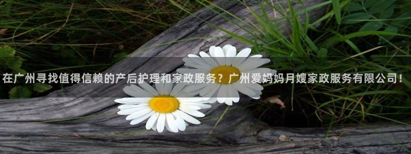 杏悦官网注册信息是什么样的