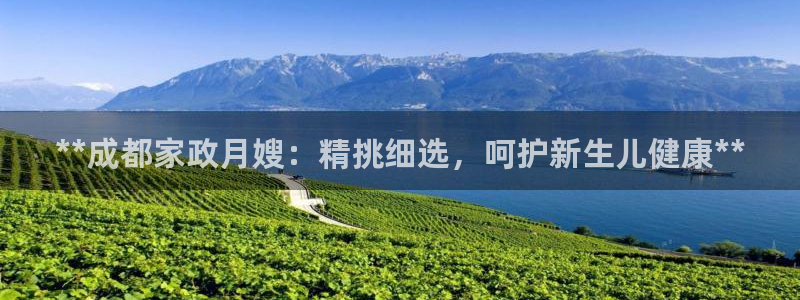 杏悦是什么
