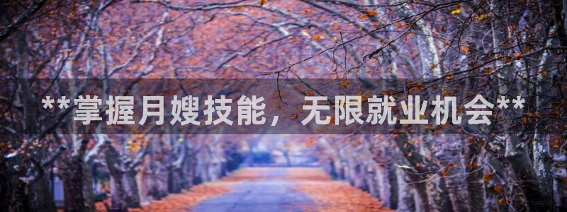 杏悦娱乐注册平台怎么样