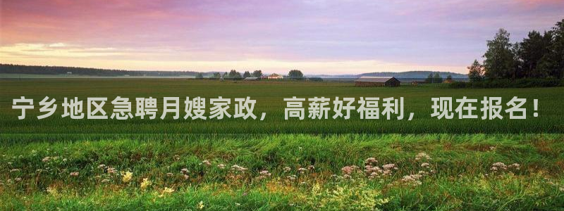 杏悦平台代理怎么做的