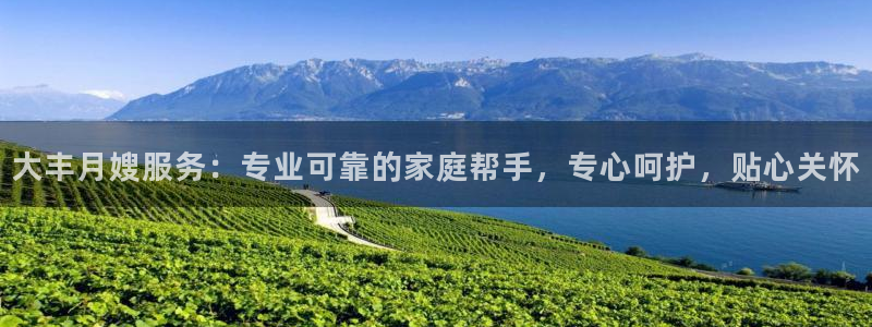 杏悦官网登录入口网址是多少