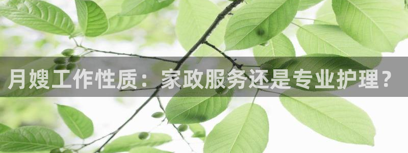 杏悦平台代理怎么赚钱