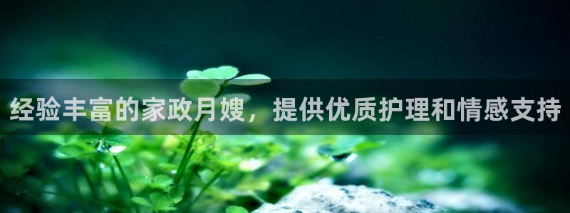 杏悦平台代理多少钱