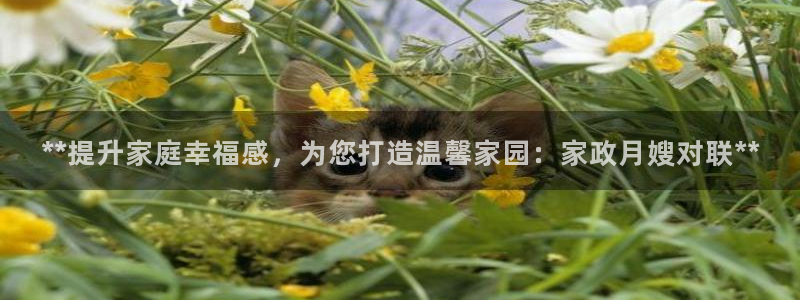 杏悦平台可靠吗