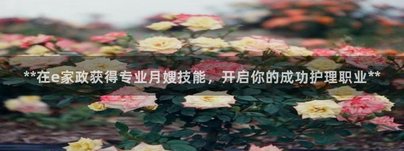 杏悦登录地址