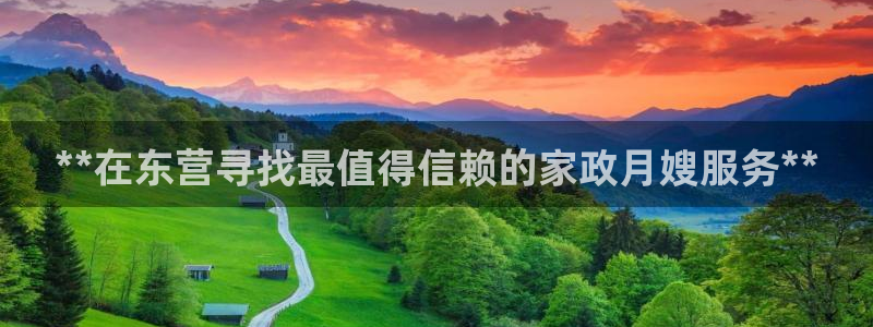 杏悦平台线路测速