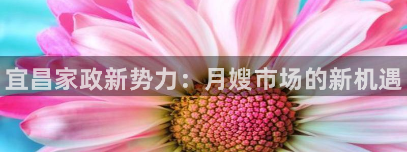 杏悦总代理