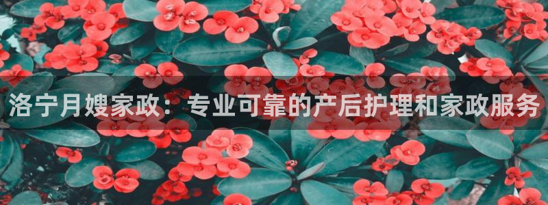 杏悦娱乐怎么玩
