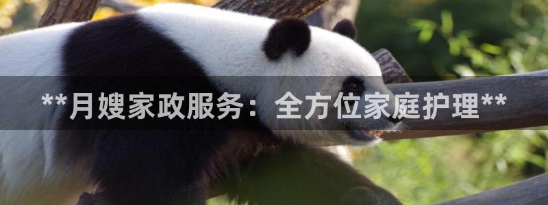 杏悦登陆地址