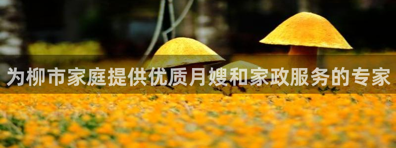 杏悦官网登录入口网址是多少