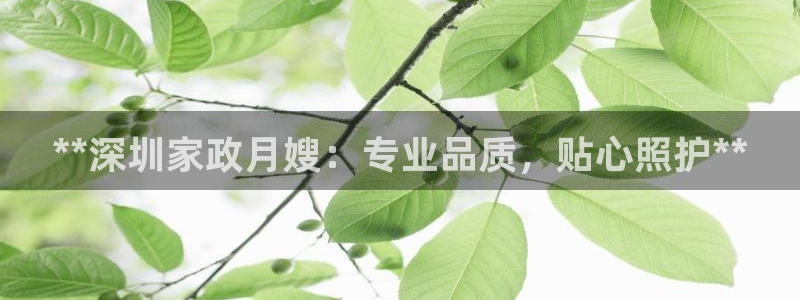 杏悦平台注册地址是哪里
