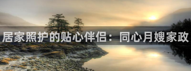 杏悦平台登录入口官网