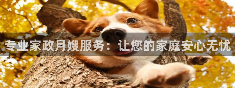 杏悦官网注册信息在哪里