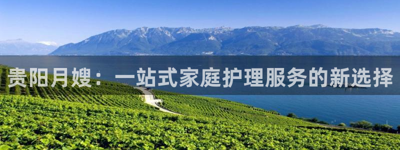 杏悦平台注册流程