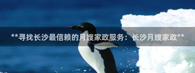 杏悦官方平台官网入口