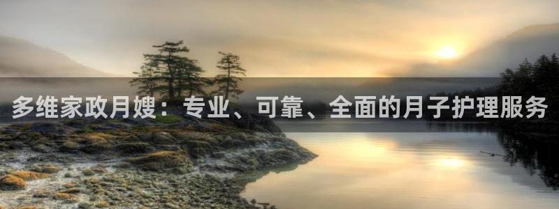 杏悦平台登录网址查询