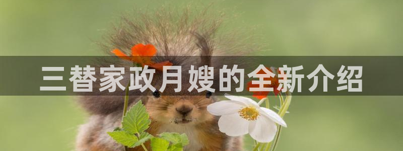 杏悦官网注册信息
