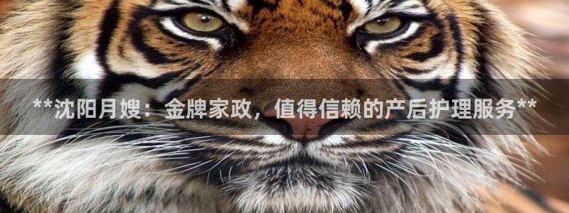杏悦登录网址