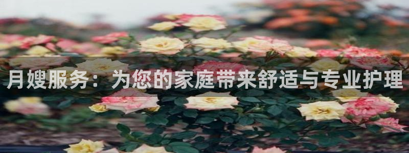 杏悦平台如何