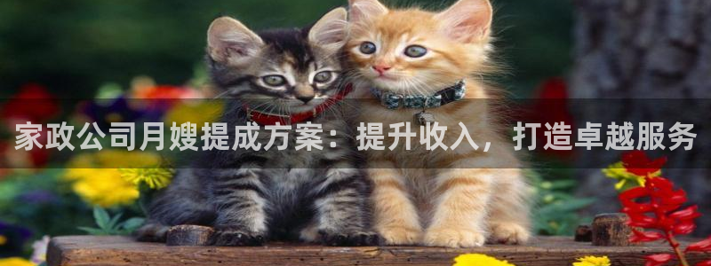 杏悦登入