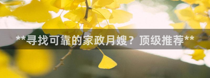 杏悦平台代理怎么样