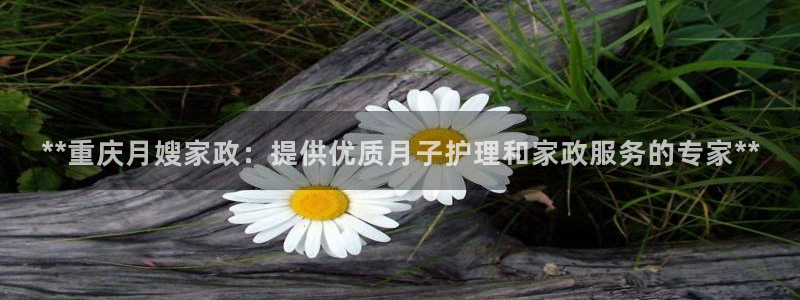 杏悦平台开户地址是什么