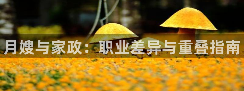 杏悦地址