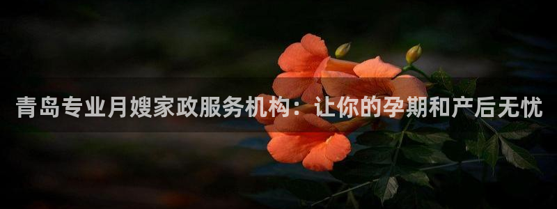 杏悦平台主管