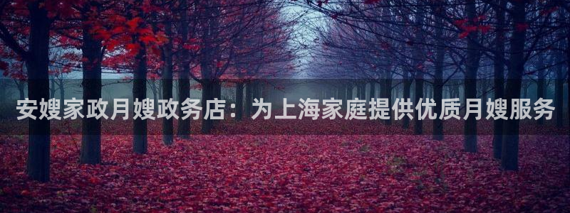 杏悦平台代理怎么做的