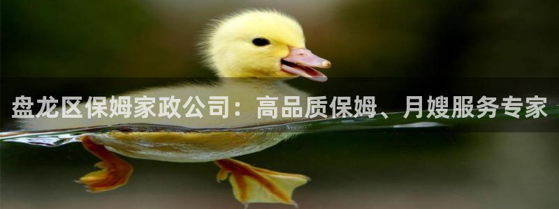 杏悦平台地址