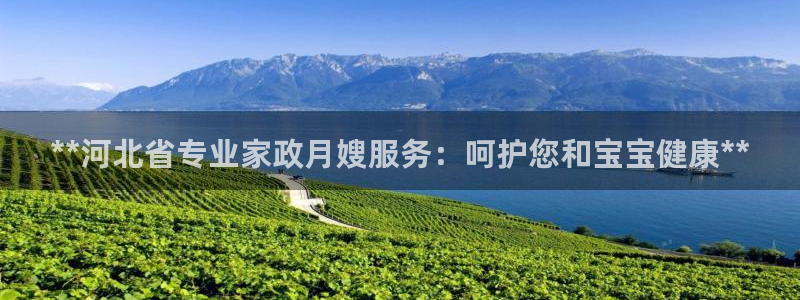 杏悦平台登录地址在哪里