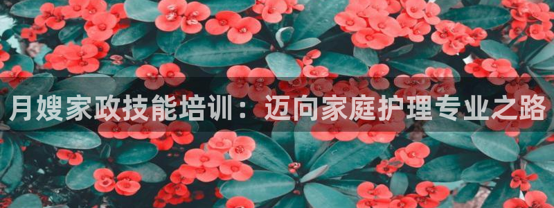 杏悦平台可靠吗可信吗知乎