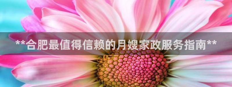 杏悦平台主管