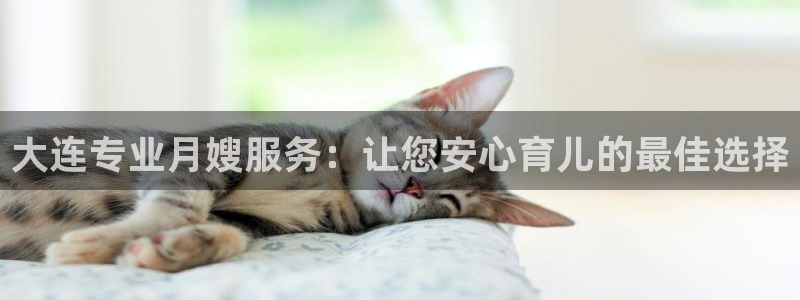 杏悦平台地址