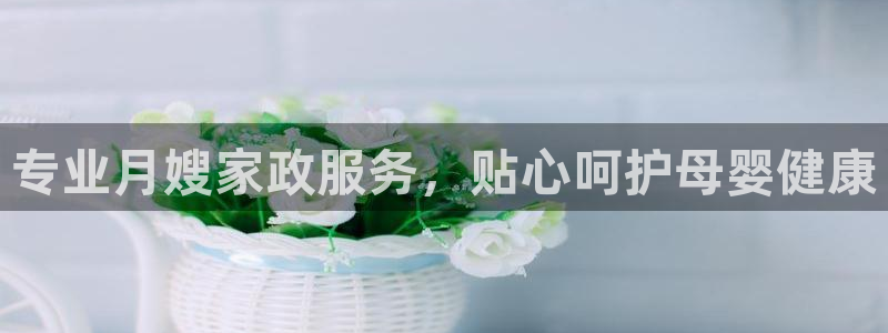 杏悦平台招商电话