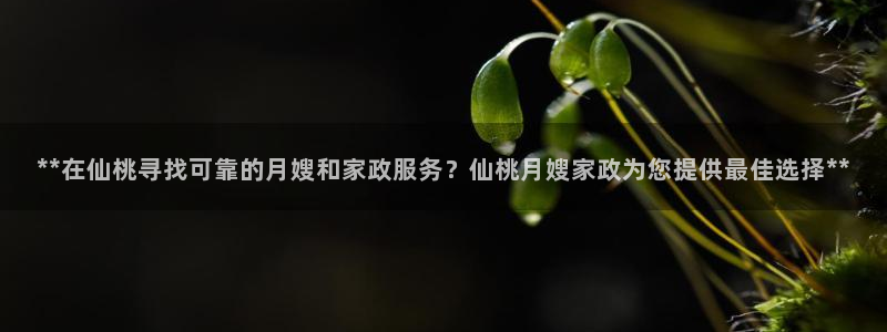 杏悦平台招商电话号码