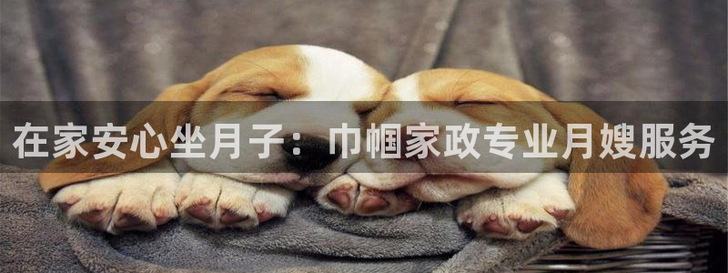 杏悦官方平台