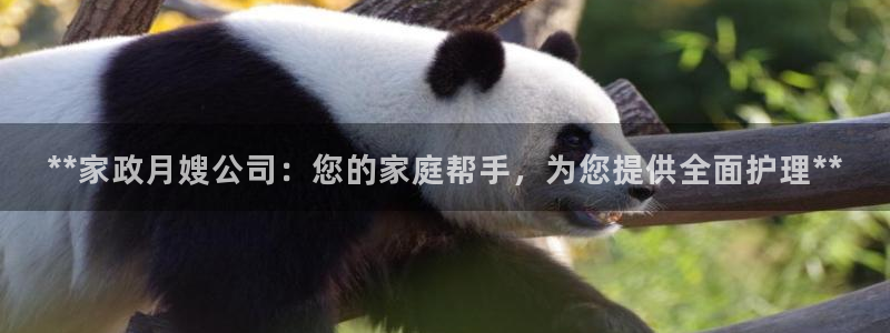 杏悦平台代理怎么做