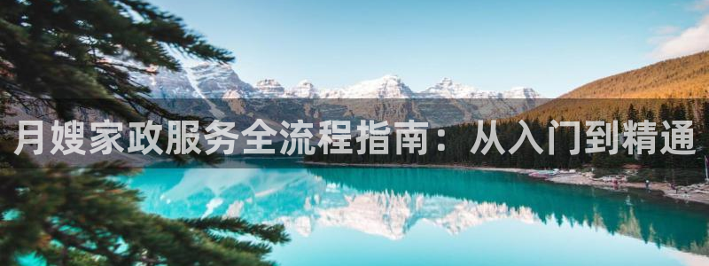 杏悦平台代理怎么赚钱快